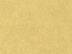 smms無(wú)紡布07