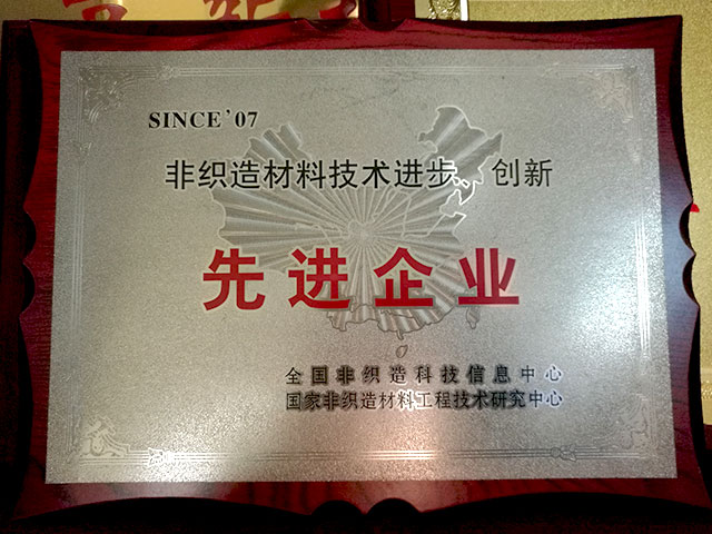 非織造材料技術(shù)進(jìn)步、創(chuàng)新-先進(jìn)企業(yè)